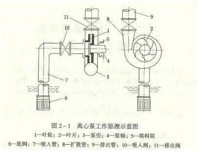 大東海泵業(yè)離心泵工作示意圖